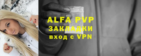 ешки Алексин