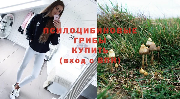 ешки Алексин